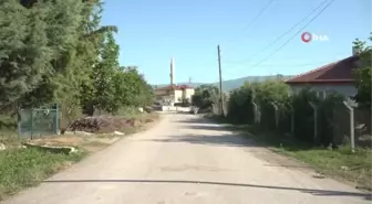 Nesli tükenmek üzere olan peçeli baykuş 'talih kuşu' olarak evlerine geldi