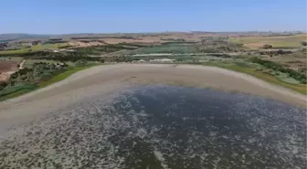 Büyükçekmece Gölü'nde Su Seviyesi Hızla Düşüyor