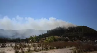 Çanakkale'de Gelibolu Yarımadası'nda Orman Yangını Kontrol Altına Alındı