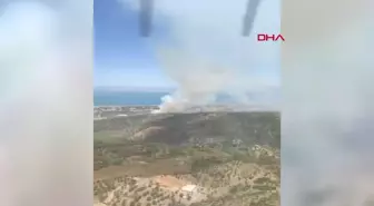 İzmir Güzelbahçe'de Orman Yangını