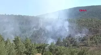 İzmir Güzelbahçe'de orman yangını