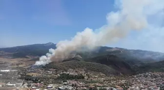 İzmir'in Güzelbahçe ilçesinde ormanlık alanda çıkan yangına müdahale ediliyor