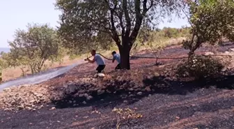 Siirt Tillo ilçesinde fıstık bahçesinde yangın çıktı