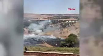 Siirt'te fıstık bahçesinde çıkan yangında 50 ağaç ile 5 dönüm alan zarar gördü