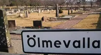 sosyal-medyada-viral-olan-gorsel-kullanicilari-16174127