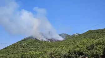 Antalya Demre'deki Orman Yangını Kontrol Altına Alındı