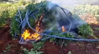 Diyarbakır'da büyük uyuşturucu operasyonu: 11 milyar TL'lik gelir engellendi