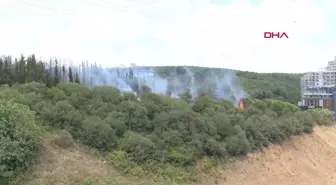 Kağıthane'de Tem Otoyolu Kenarında Ağaçlarda Yangın