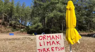 Muğla Valiliği, Akbelen Ormanı'ndaki ağaç kesimi tamamlandı