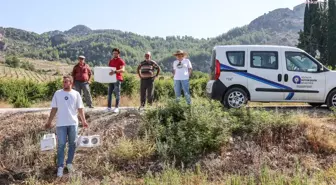 Antalya Büyükşehir Belediyesi, Çiftçilere Faydalı Böcek Desteklerine Devam Ediyor