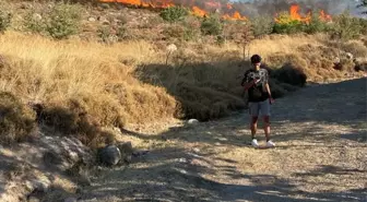 Muğla Bodrum'da çıkan yangın kontrol altına alındı