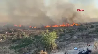 Bodrum'da Otluk ve Makilik Alanda Yangın Çıktı