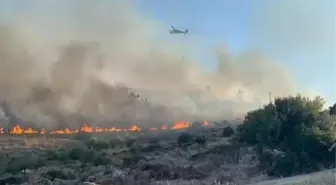 Bodrum'da Makilik Alanda Yangın Çıktı