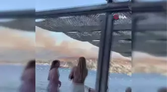 Bodrum'da Türkbükü yangını geniş alana yayıldı