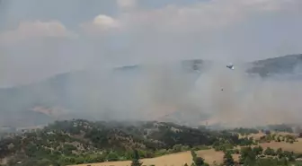 Çanakkale'de tarım arazisinde çıkan yangın ormana sıçramadan söndürüldü