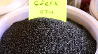 Hamur işlerini süsleyen çörek otunu bir de böyle deneyin! Yağ yakıyor, kabızlığı gideriyor