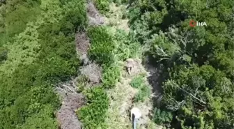 Jandarmadan uyuşturucu tacirlerine geçit yok