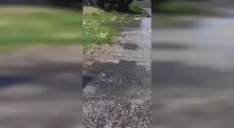 Osmaniye'de İçme Suyu Borusu Patladı, Belediye 1 Haftadır Tamir Etmedi