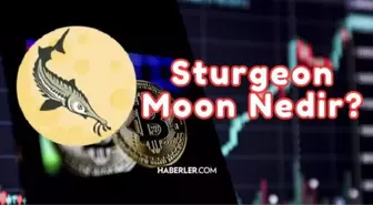 Sturgeon Moon nedir, ne zaman? Sturgeon Moon fiyatı nedir? Sturgeon Moon grafikleri, piyasa değeri!