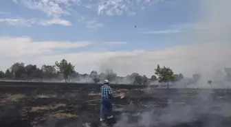 Edirne'de otluk alanda çıkan yangın söndürüldü