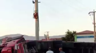 Elazığ'da Büyükbaş Hayvan Taşıyan Kamyon Devrildi