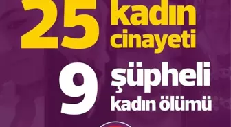 Temmuz Ayında 25 Kadın Erkekler Tarafından Katledildi