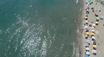 Tekirdağ'da Sıcak Hava Nedeniyle Sahillerde Yoğunluk