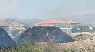 Aydın Karacasu'da Saman Yangını: 50 Ton Saman Zarar Gördü