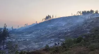 Bilecik'te Orman Yangını Kontrol Altına Alındı