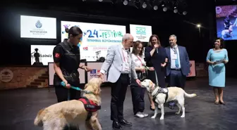 Depremde kahraman köpekler Tigi ve Petra'ya madalya takıldı