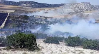 Eskişehir'de Çıkan Orman Yangınları Kontrol Altına Alındı