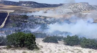 Eskişehir'de Orman Yangınları Kontrol Altına Alındı