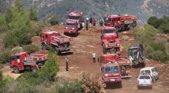 Hatay'da çıkan orman yangını kontrol altına alındı