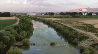 Karasu Nehri yeşile döndü