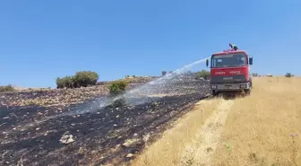 Tunceli'de çıkan örtü yangınları söndürüldü