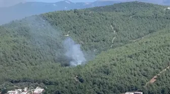 Bodrum'da Ormanlık Alanda Yangın Çıktı