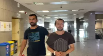 Eyüpsultan'da Kedilere Kezzap ve Asit Döken Şüpheli Tutuklandı