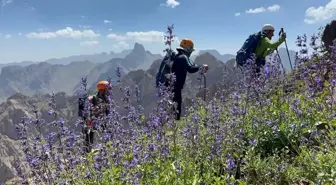 Hakkari'de Dağcılar Sümbül ve Spi Dağları'nda Zirve Yaptı