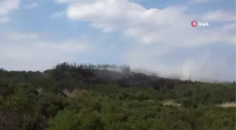 Lapseki'deki orman yangını kontrol altına alındı, 7 hektar alan zarar gördü