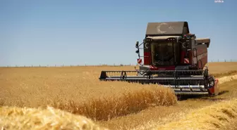 Kellogg Türkiye, Yılın İlk Yulaf Hasadını Gerçekleştirdi