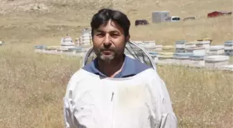 Erdemli'de 2,5 Ton Bal Üretildi