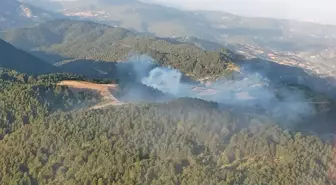 Balıkesir İvrindi'de Orman Yangınına Havadan ve Karadan Müdahale Ediliyor