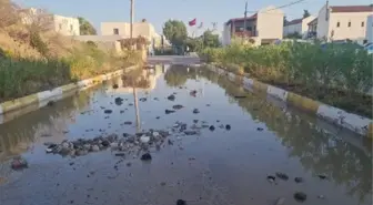 Bodrum'da Ana İsale Hattında Patlama: Motosikletli ve Köpek Yaralandı