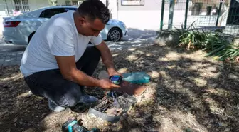 İzmir Buca'da Parklara Zarar Verildi