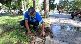 Buca'da Parklara Zarar Veren Vandallara Tepki