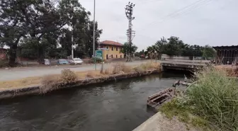 Keçiyi kurtarmak isterken hayatını kaybetti
