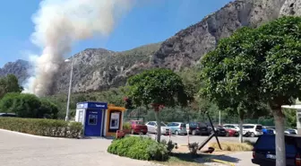 Muğla'nın Milas ilçesinde orman yangını çıktı