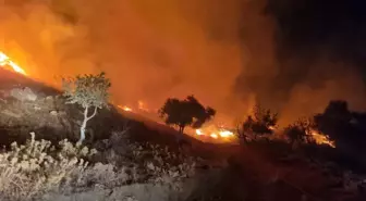 Muğla'da çıkan yangında 1 dönüm alan zarar gördü
