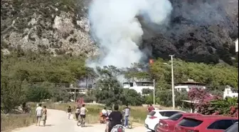 Muğla Milas'ta Orman Yangını Çıktı