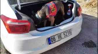 'Raket' uyardı, 7 kilo 428 gram esrar ele geçirildi